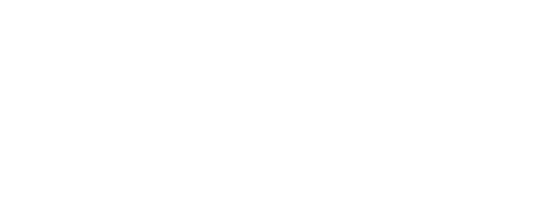 Logo Bloom Spinning